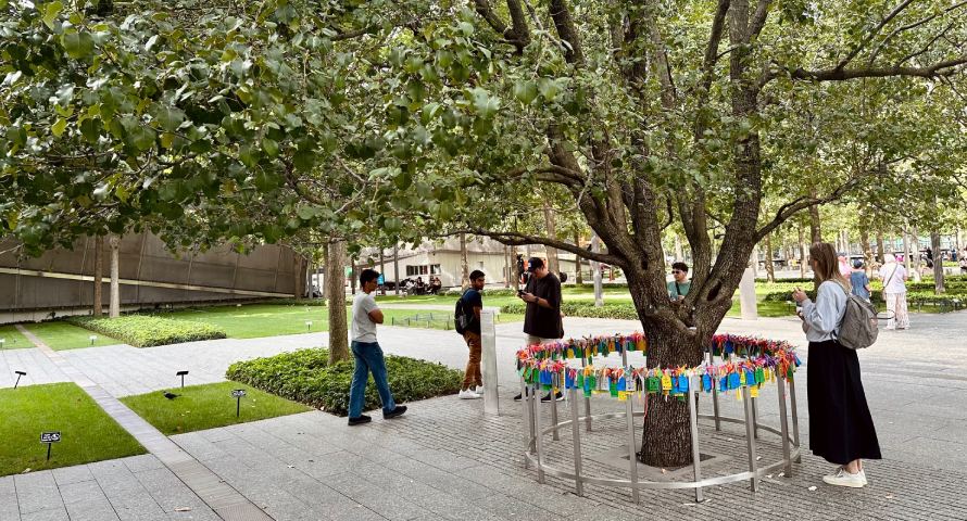 Der Survivor Tree ist der älteste Baum auf dem Gelände der Gedenkstätte.